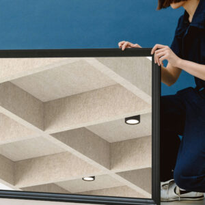 Acoustic Ceiling Solutions